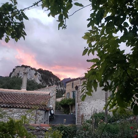 Le Chateau Camps-sur-l'Agly المظهر الخارجي الصورة