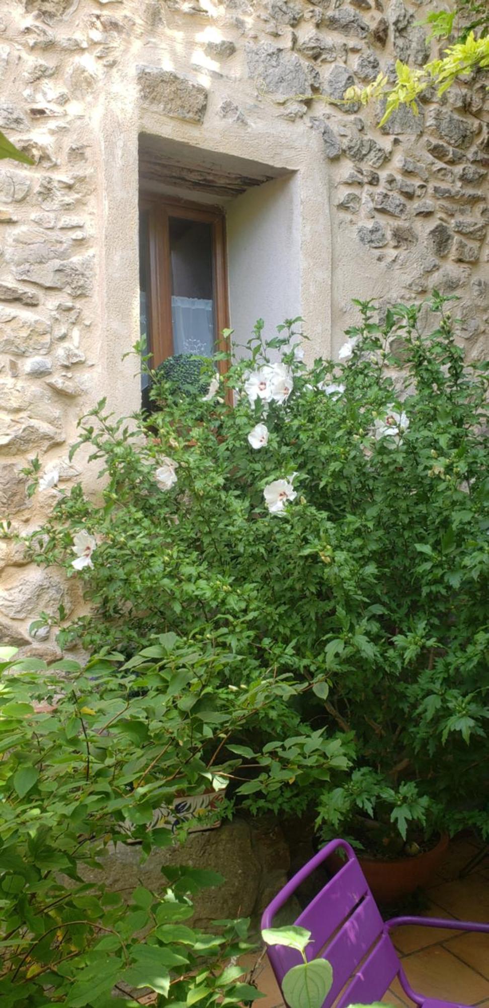 Le Chateau Camps-sur-l'Agly المظهر الخارجي الصورة