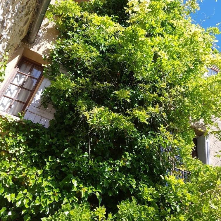 Le Chateau Camps-sur-l'Agly المظهر الخارجي الصورة